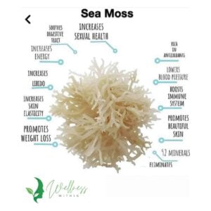 Irish Sea Moss Gel - Wellness Within
